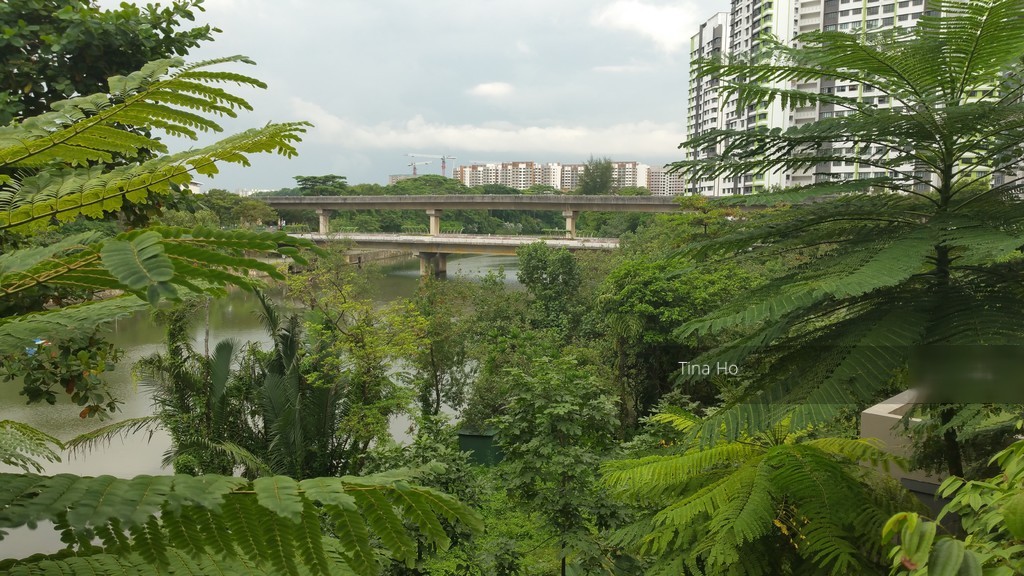 Rivertrees Residences (D28), Apartment #188856012